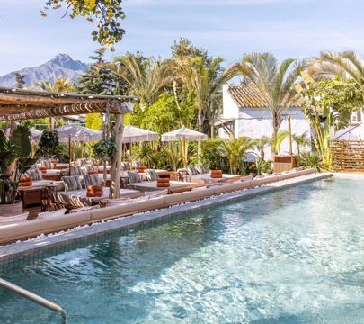 COYA Pool