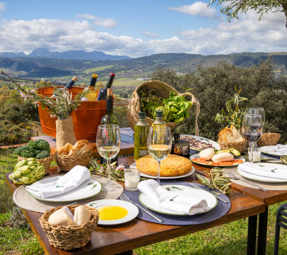 Olive Oil Tasting